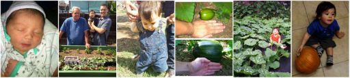 PhotoGrid_1381460499096.jpg